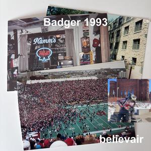 Badger 1993