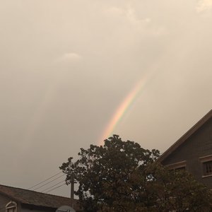 萤火虫的礼拜天