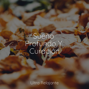 Perseverancia