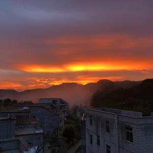 灰陈