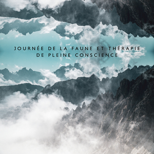 Guérison et sommeil (Sons de la nature)