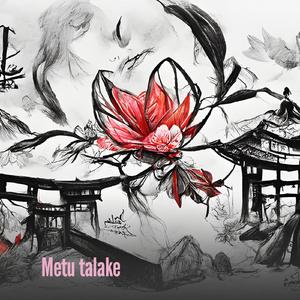 Metu talake