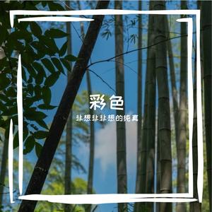 彩色