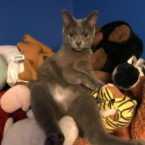 step in (feat. Pharmacy & Macbook)