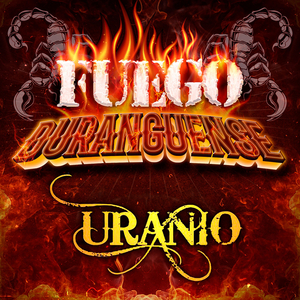 Quién Será (Duranguense)