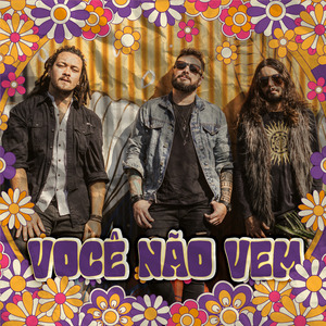 Você Não Vem