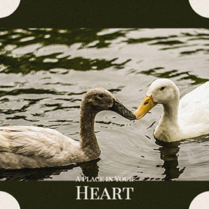 Build Me Up Butter Cup