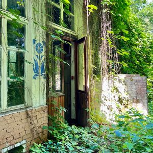 Мишка, пока