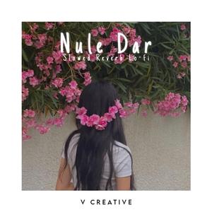 Nule Dar (Slowed Reverb Lo-fi)