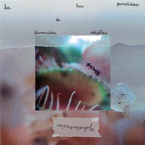 La dimensión de los objetos perdidos