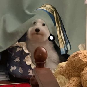 呼吸决定
