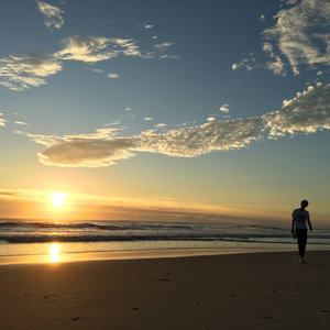 野猫（翻自  藤乐队）