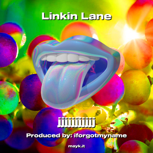 Linkin Lane