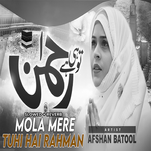 Maula Mere Tuhi Hai Rahman (Lofi-Mix)