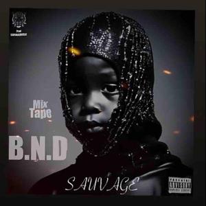 BENDO PRT3 Q.L. (feat. PHAYGO)