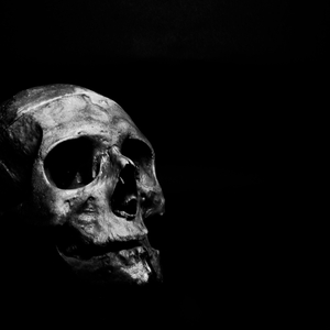 THE BODY DOWN BY THE RIVER