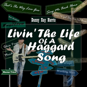 Livin' the Life of a Haggard Song