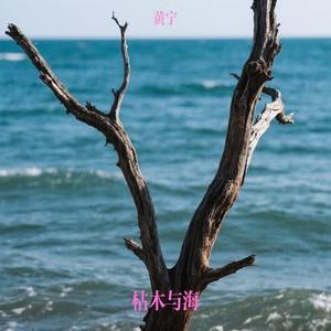 枯木与海 (黄宁 Remix)
