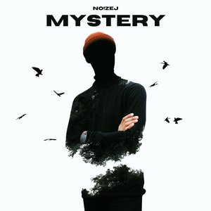 Mystery (Radio edit)