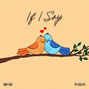 IF I SAY (feat. Gallaxy)