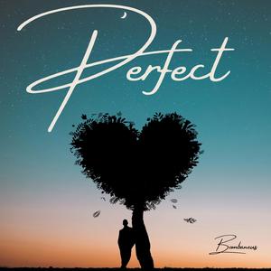 Perfect