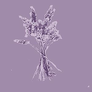 Datura