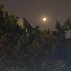 我们总是在寻找