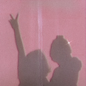 Flowers in the spring garden