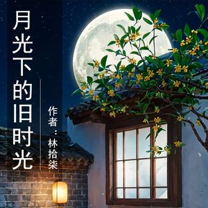 月光下的旧时光