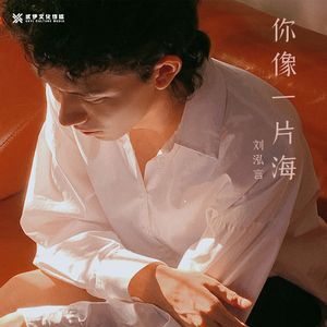 你像一片海 (伴奏)