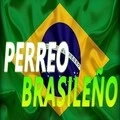 Mix Perreo Brasileño