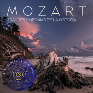 Sinfonía N°30, K 202 (3. Mennuetto And Trio)