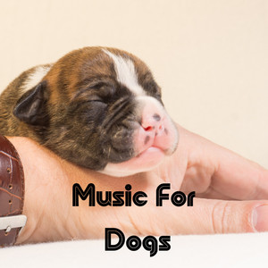 Bark Beats