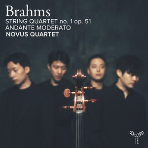 String Quartet in C Minor, Op. 51 No. 1: II. Romanze. Poco Adagio