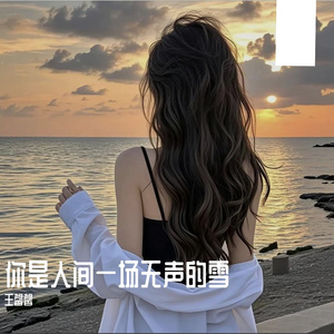 你是人间一场无声的雪