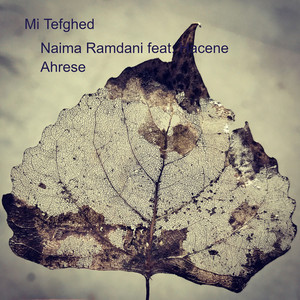 Mi Tefghed