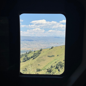 如果爱忘了 安安