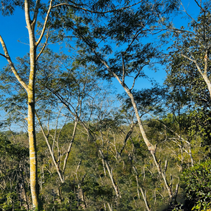 কালো জাদু এবং বদ নজর থেকে নিজেকে হেফাজত করুন