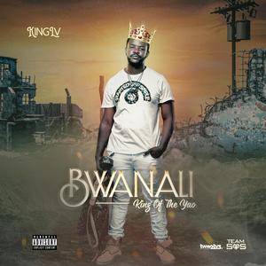 D.Z.I (DANA ZOPUSA INE)