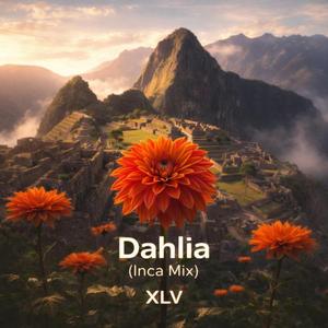 Dahlia (Inca Mix)