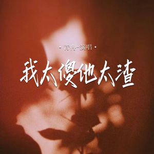 我太傻他太渣