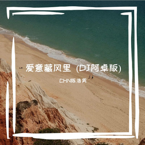 爱意藏风里 (DJ阿卓版)