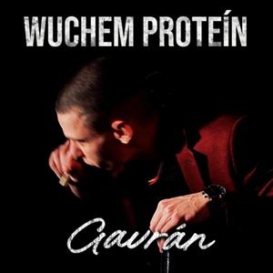 wuchem protein