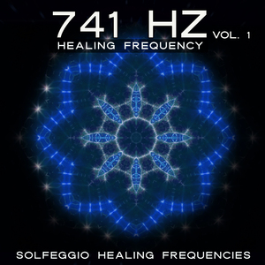 01 741HZ V1