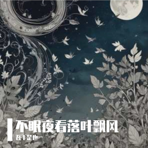 不眠夜看落叶飘风