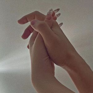 一首写给熊的歌