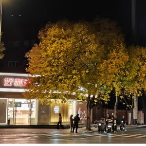 理想热情的旋律