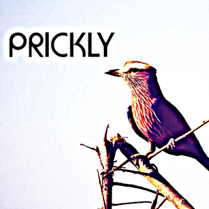 prickly