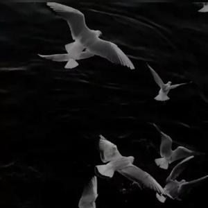 能有你这样的朋友陪我