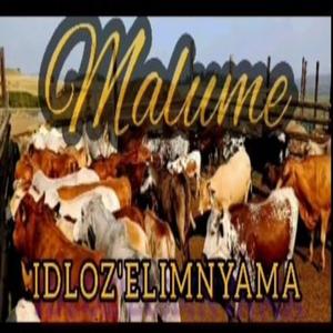 Malume